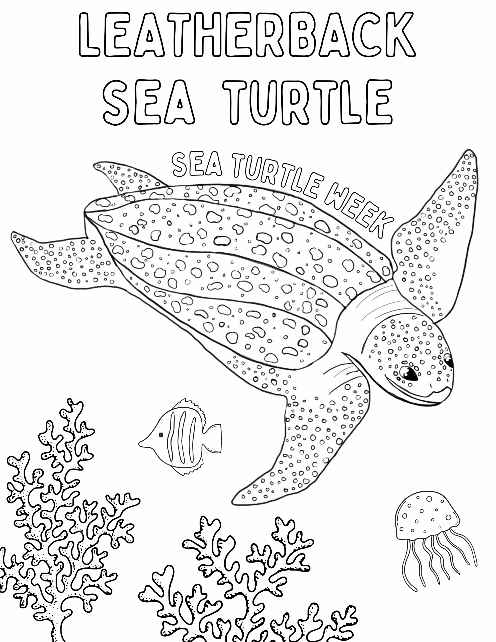 Coloring Sheets SeaTurtleWeek Coloring Sheets SeaTurtleWeek