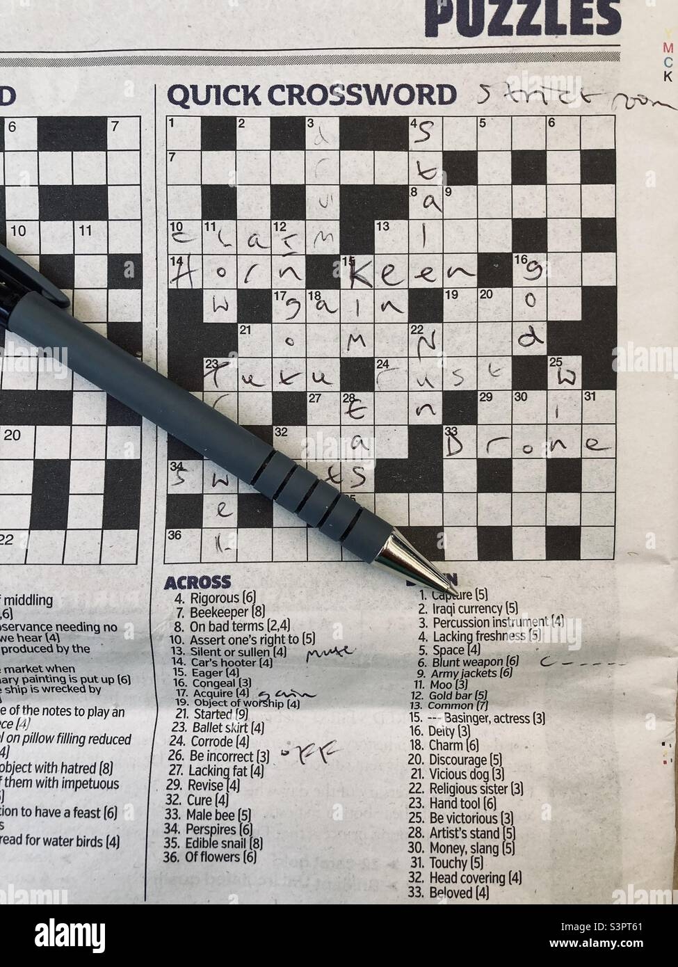 put up crossword clue put up crossword clue