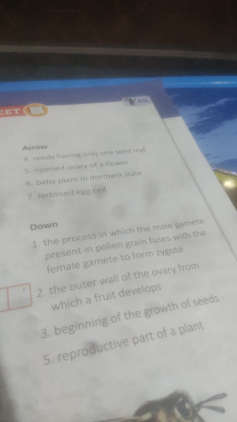 egg cells crossword clue