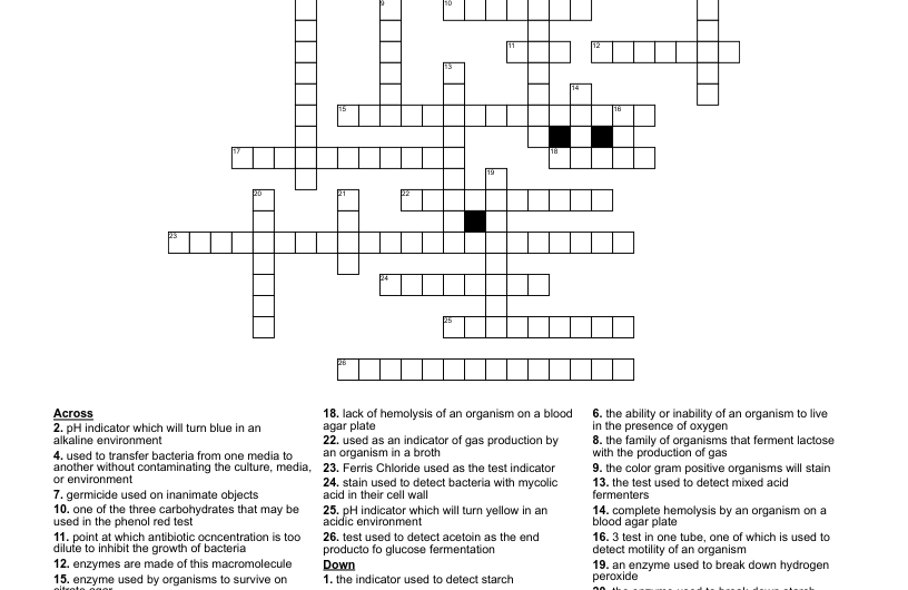 Differential Media Crossword