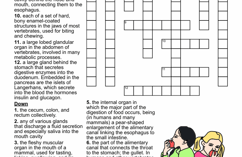 Gullet Crossword Clue
