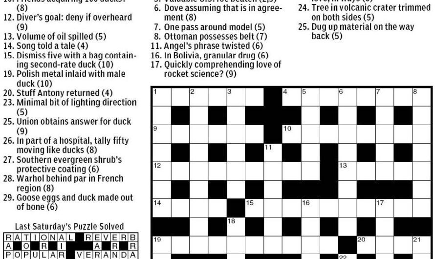 Diving Duck Crossword Clue