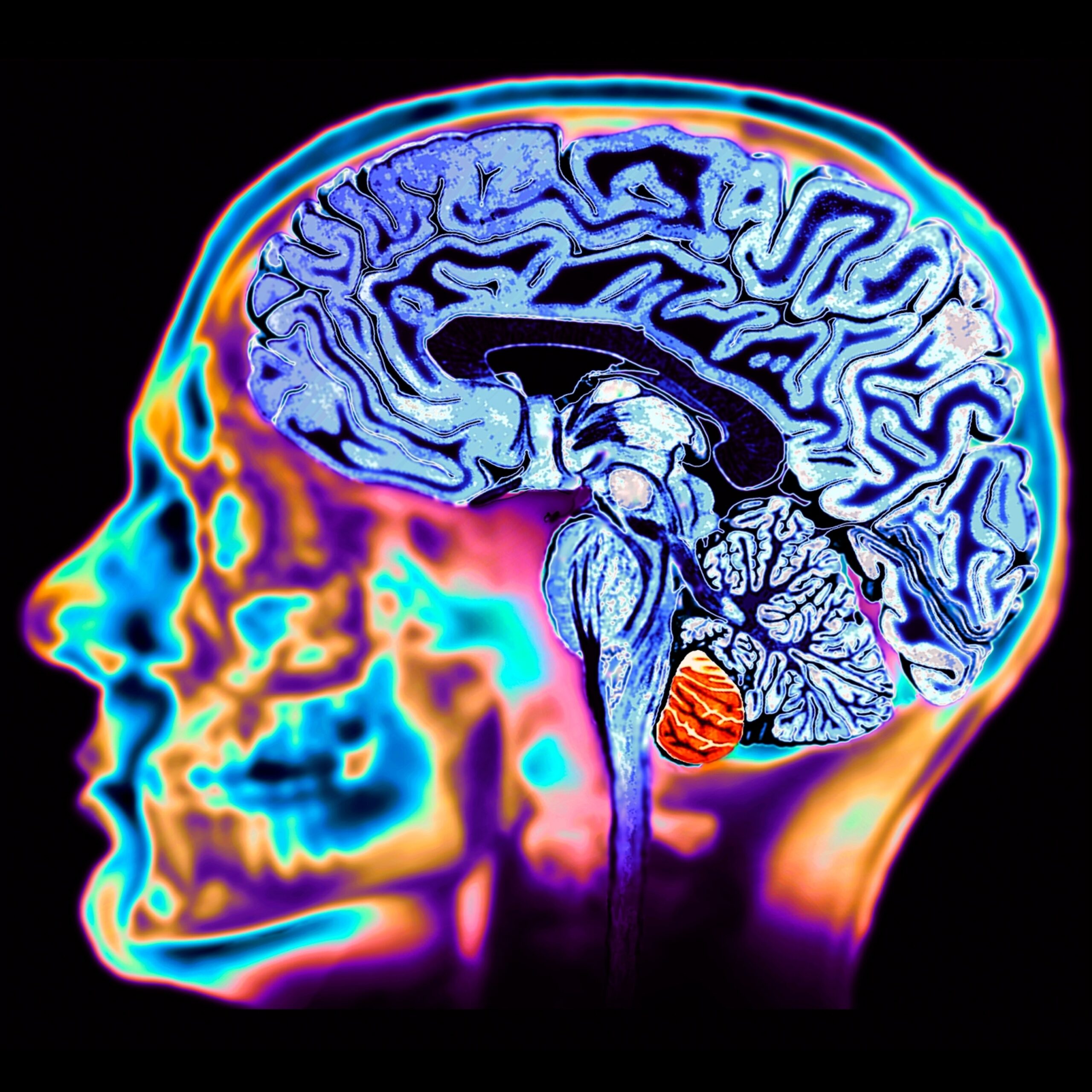 Do Crossword Puzzles Really Keep Your Brain Sharp National Geographic Do Crossword Puzzles Really Keep Your Brain Sharp National Geographic