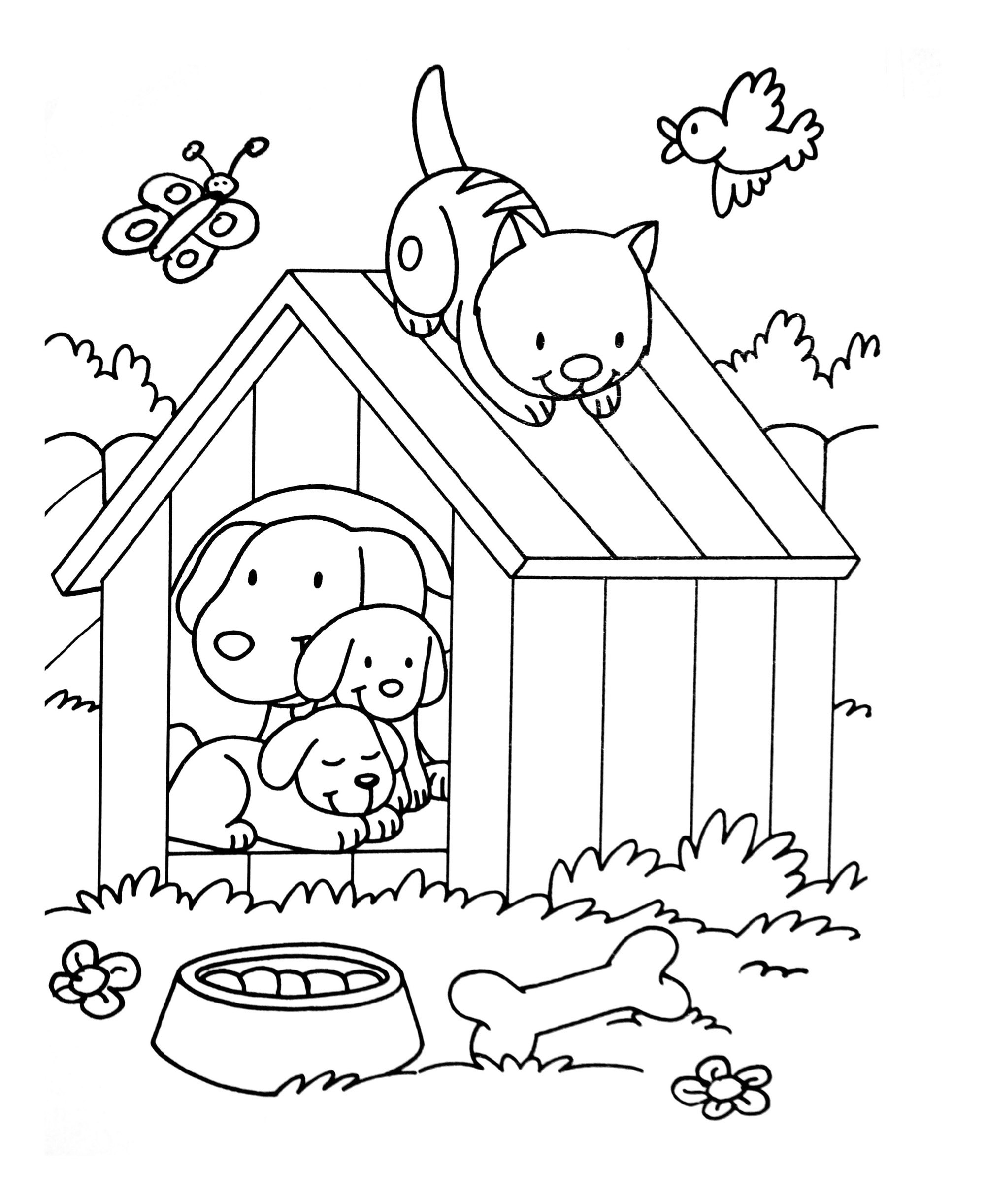 Dog Cat Birdjpg Animals Coloring Pages For Adults Dog Cat Birdjpg Animals Coloring Pages For Adults