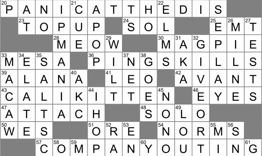 Craze Crossword Clue