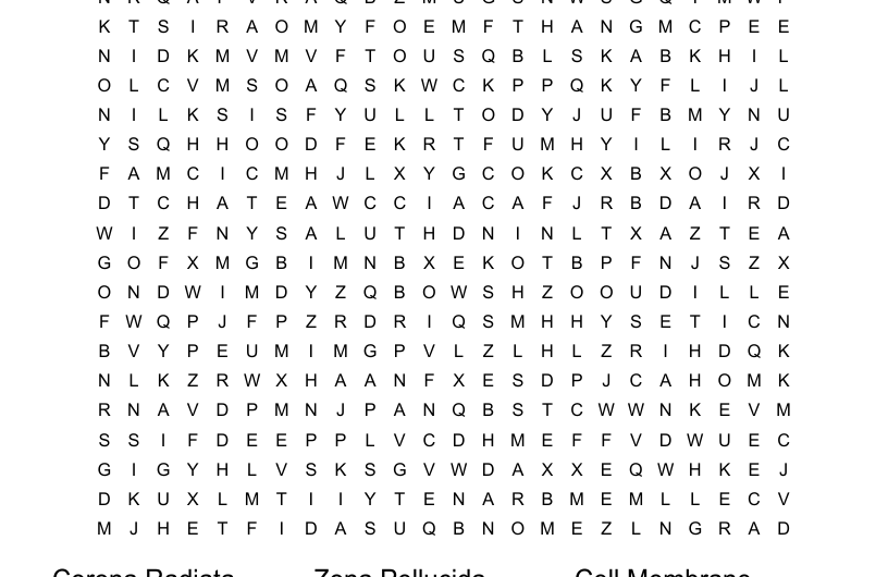 Egg Cells Crossword Clue