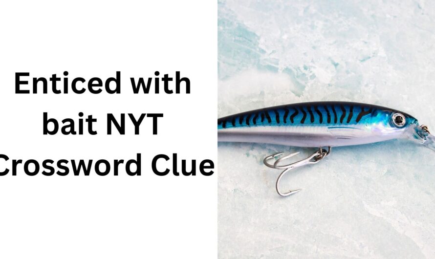 Enticed Crossword Clue