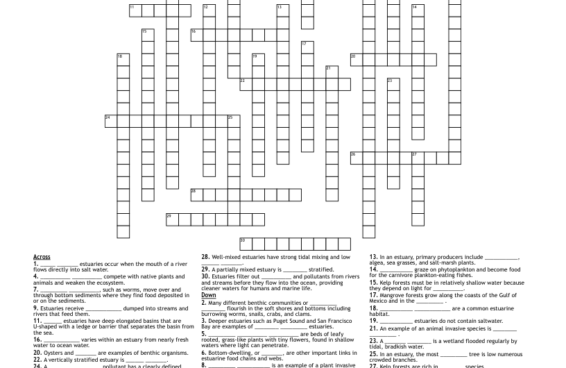 Estuary Crossword Clue