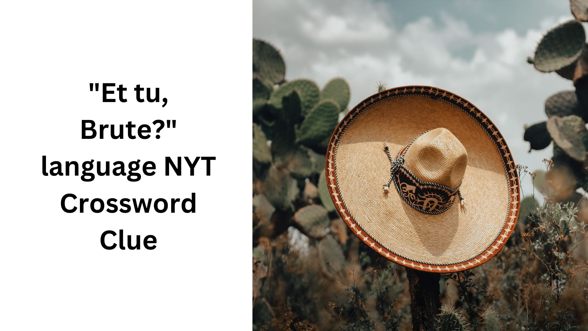 Et Tu Brute Language NYT Crossword Clue October 4 2024 Et Tu Brute Language NYT Crossword Clue October 4 2024