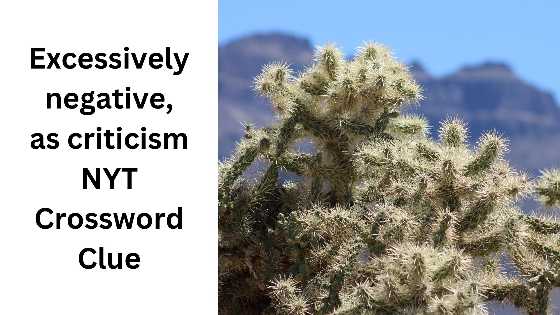 Excessively Negative As Criticism NYT Crossword Clue October 2 2024 Excessively Negative As Criticism NYT Crossword Clue October 2 2024