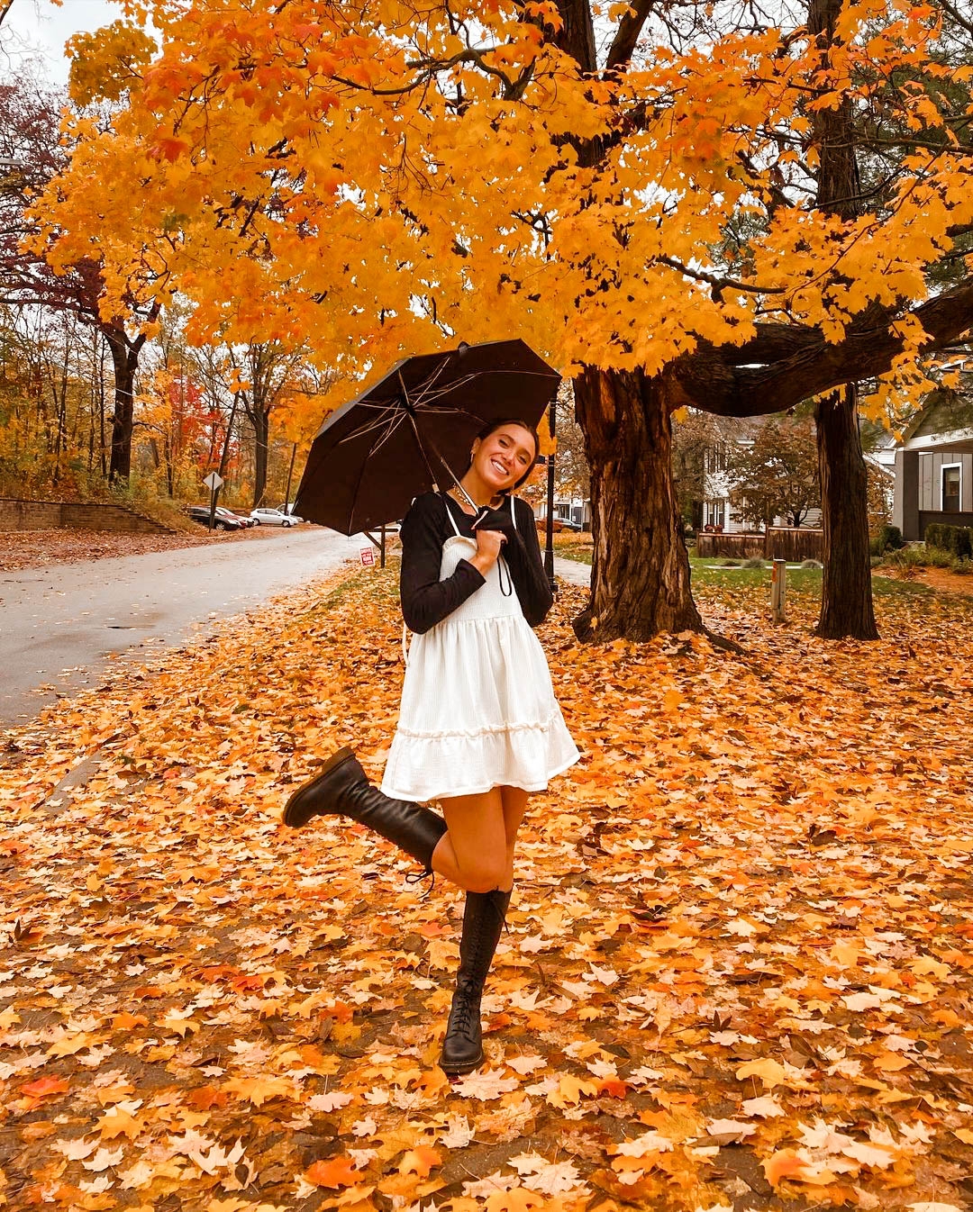 ideas for autumn pictures ideas for autumn pictures