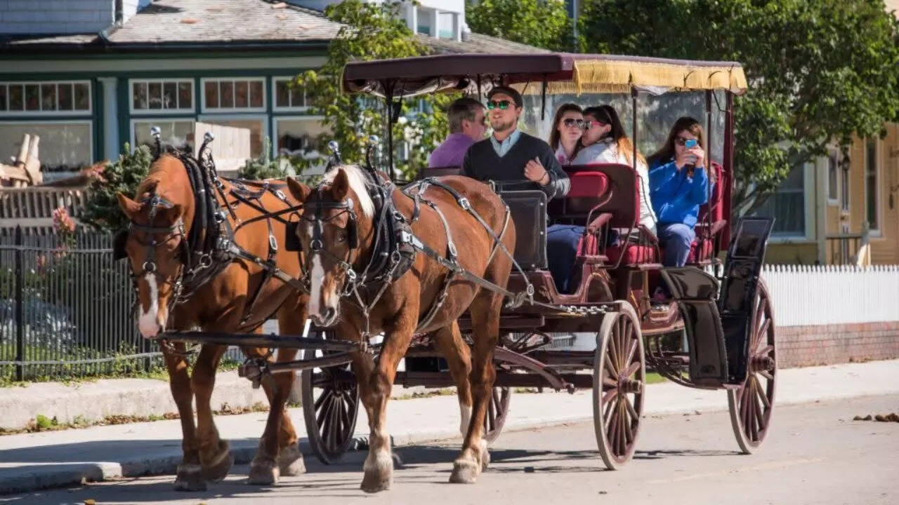 Explore A Car free US Island Where Horses Are The Locals Main Mode Of Transport Times Of India Explore A Car free US Island Where Horses Are The Locals Main Mode Of Transport Times Of India