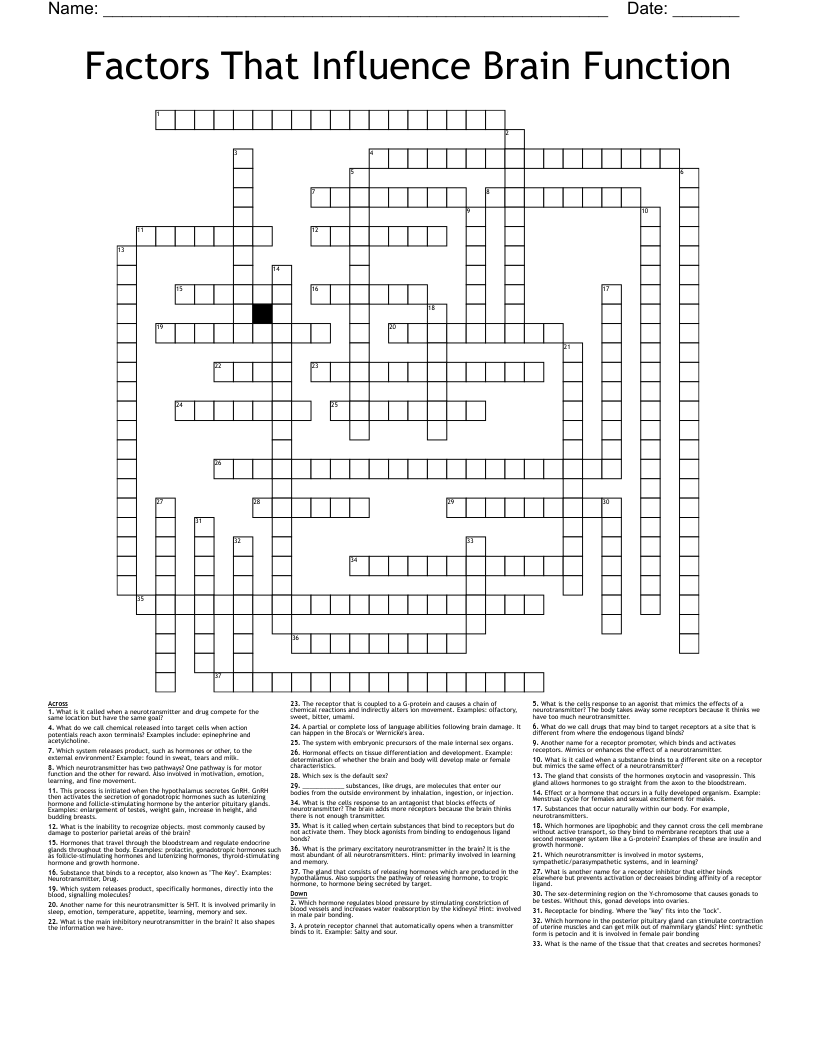 Factors That Influence Brain Function Crossword WordMint Factors That Influence Brain Function Crossword WordMint