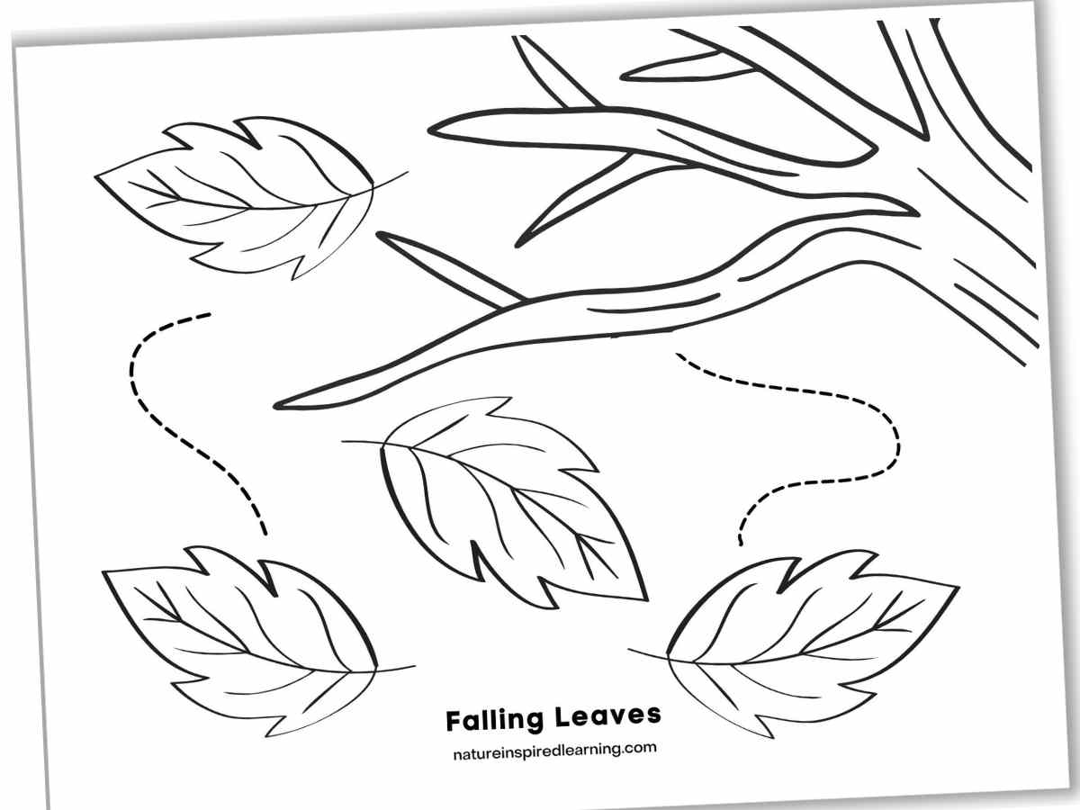 Fall Coloring Pages Nature Inspired Learning Fall Coloring Pages Nature Inspired Learning