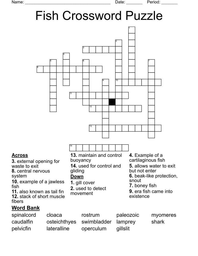 Fish Crossword Puzzle WordMint Fish Crossword Puzzle WordMint