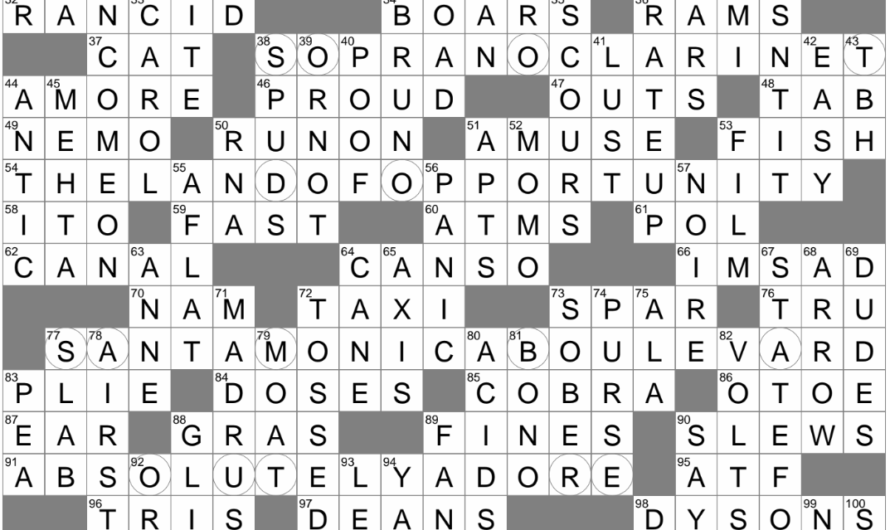 Indian Flatbread Crossword Clue