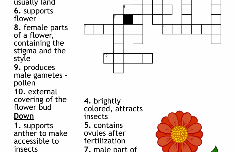 Flower Part Crossword Clue