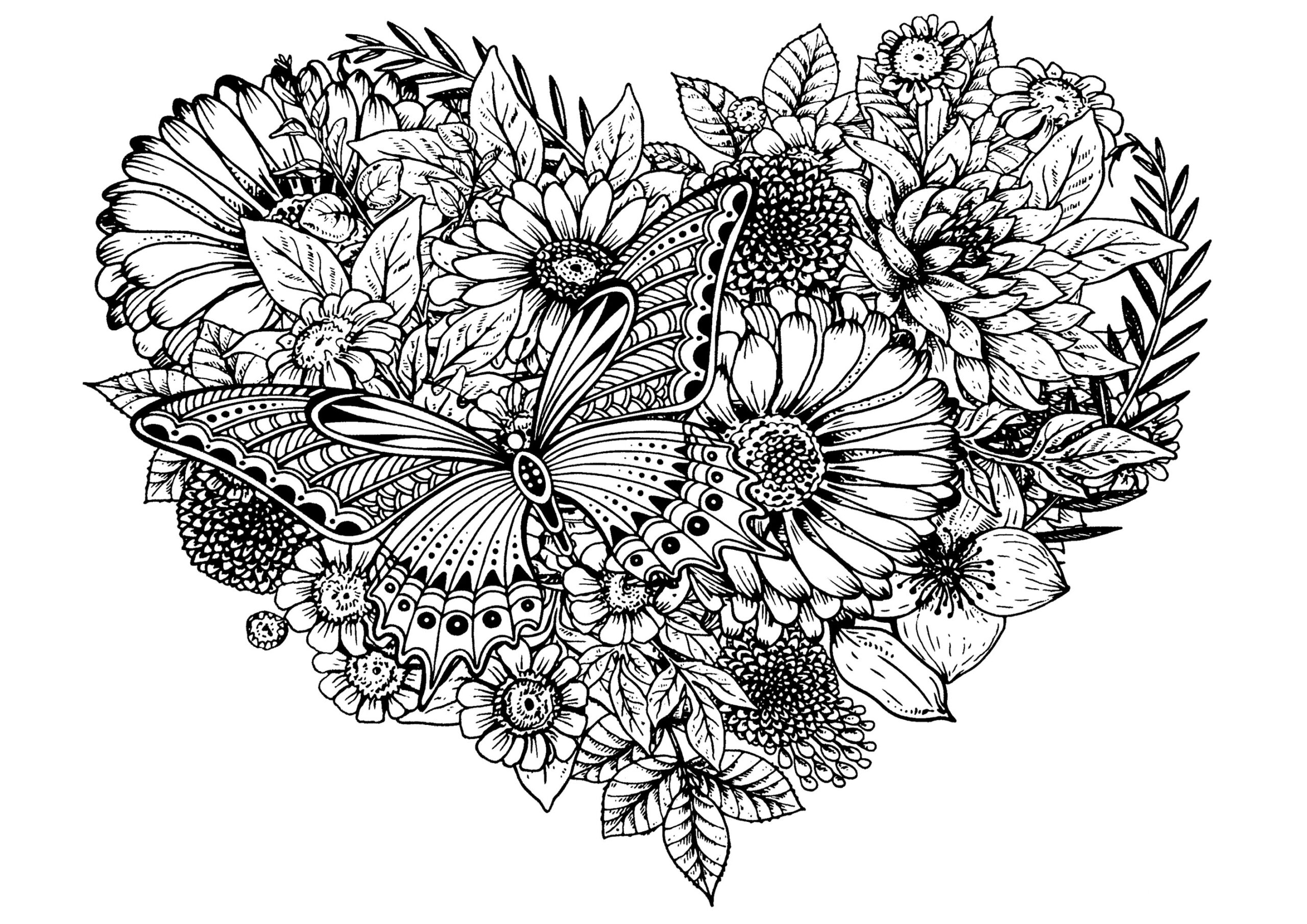 coloring pages flowers butterflies coloring pages flowers butterflies