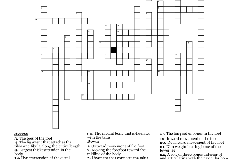 Ankle Bone Crossword Puzzle Clue