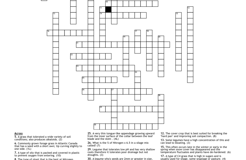 Seed Cover Crossword