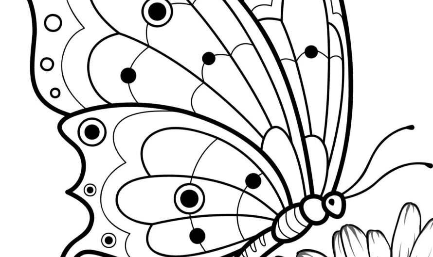 Coloring Picture Of A Butterfly
