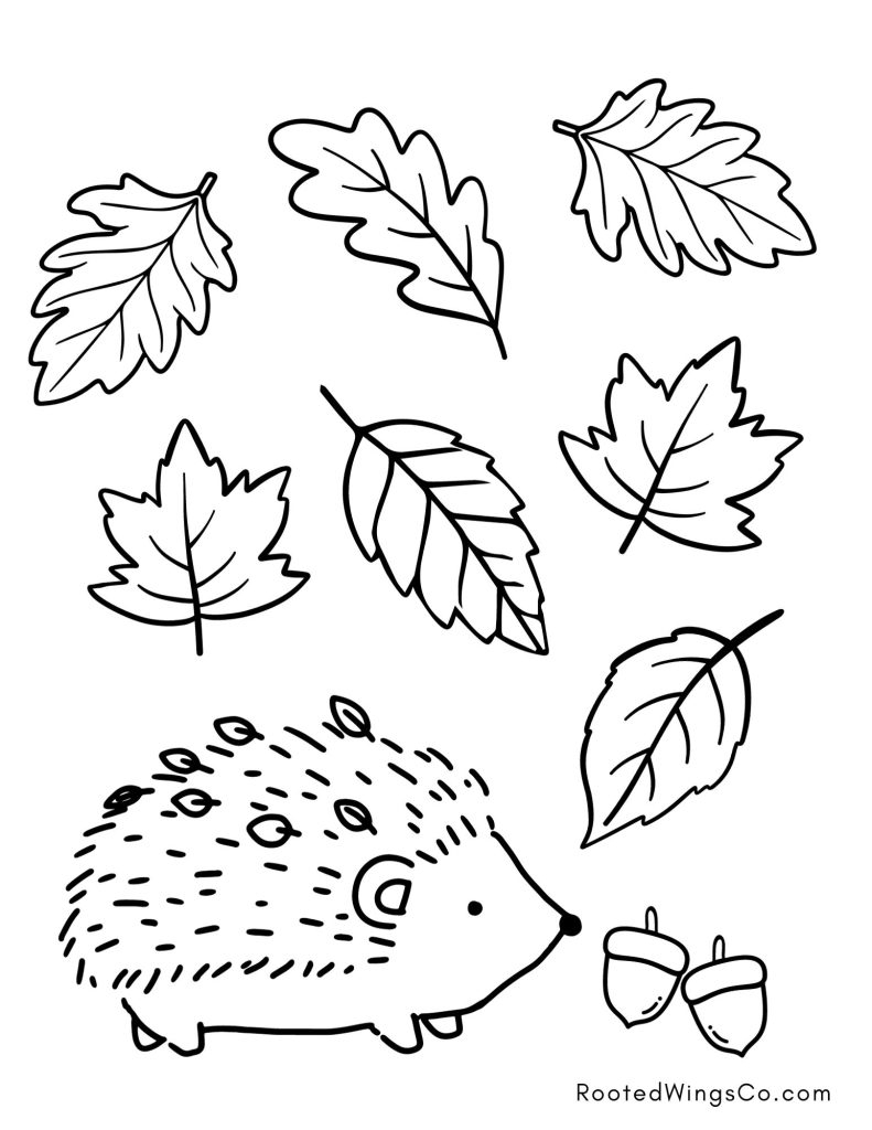 Free Fall Coloring Pages Rooted Wings Co Free Fall Coloring Pages Rooted Wings Co