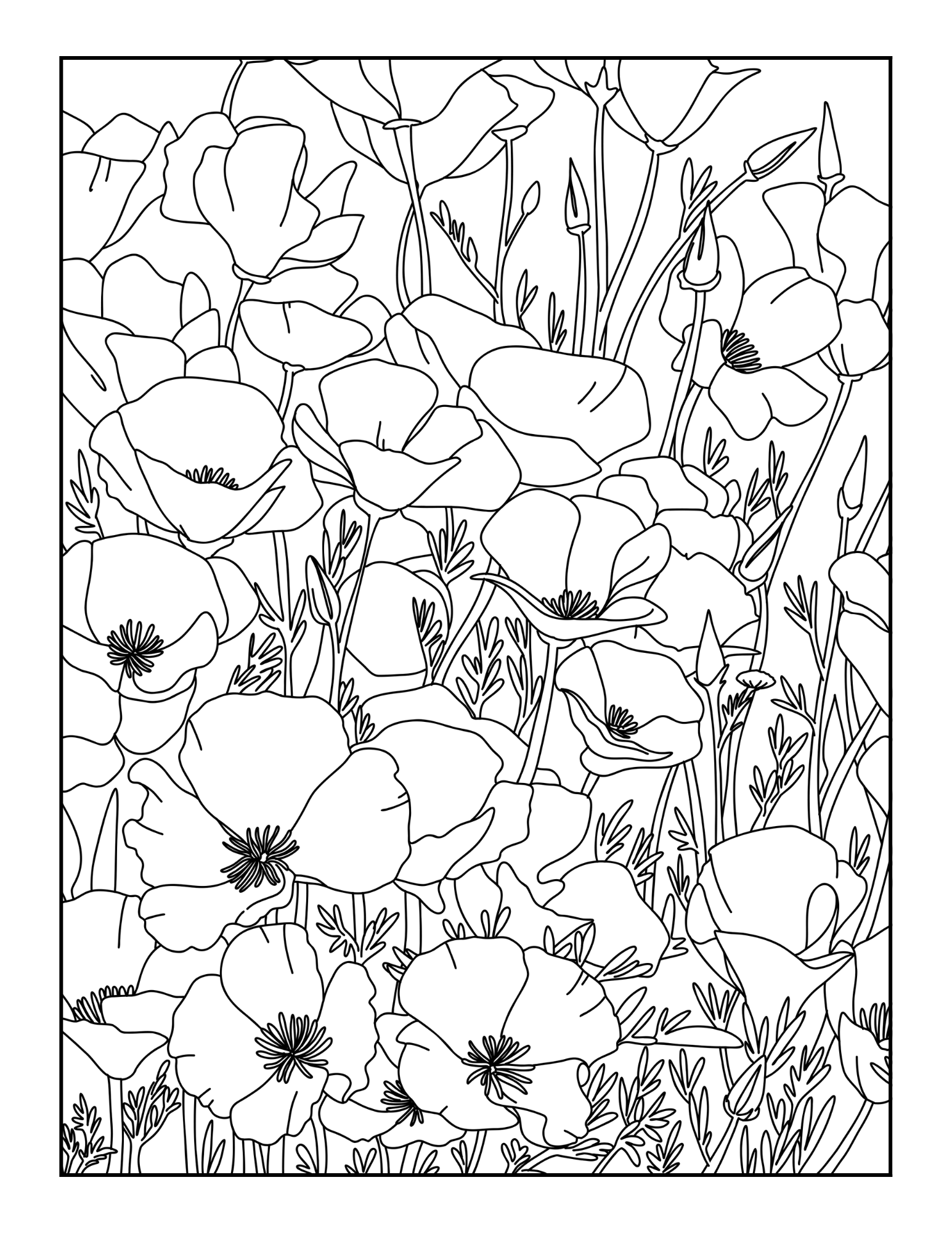Free Flower Colouring Pages Gathering Beauty Free Flower Colouring Pages Gathering Beauty