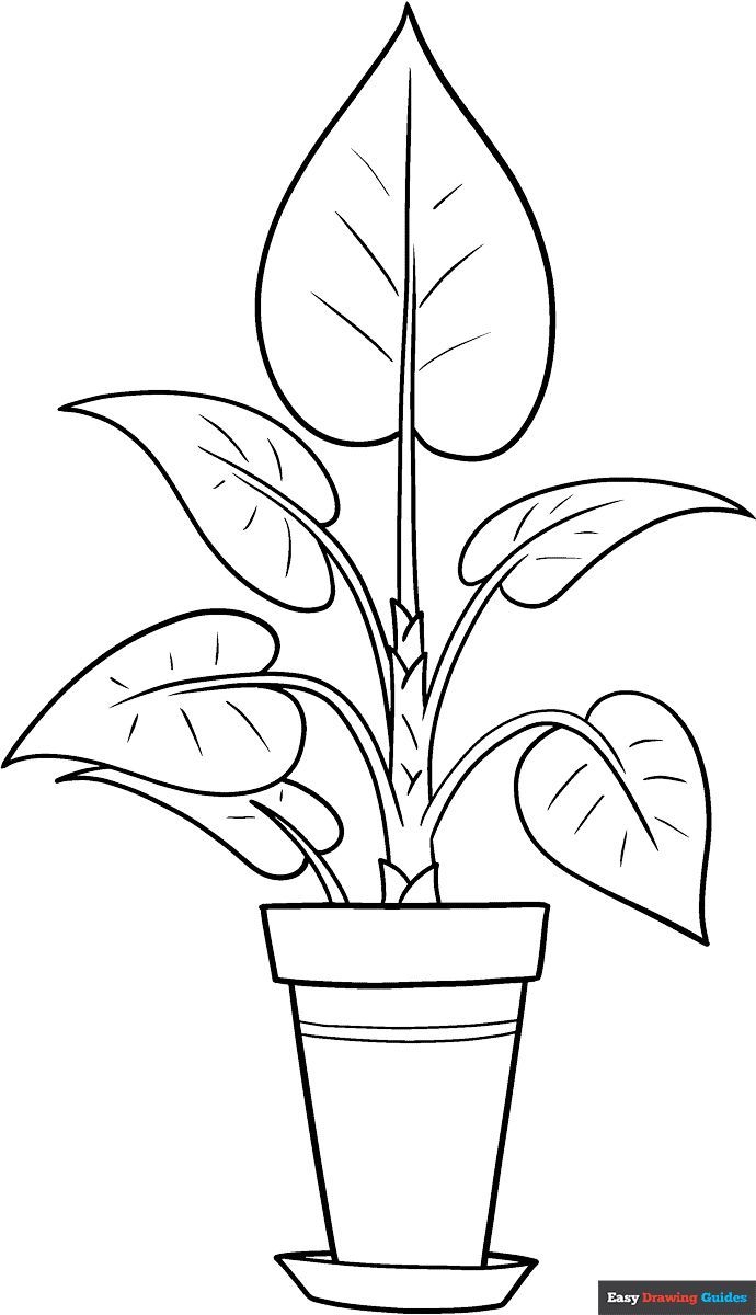 Free Plant Coloring Page Free Plant Coloring Page