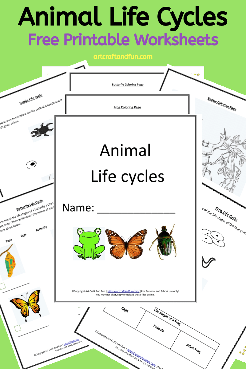 Free Printable Animal Life Cycle Worksheets Free Printable Animal Life Cycle Worksheets