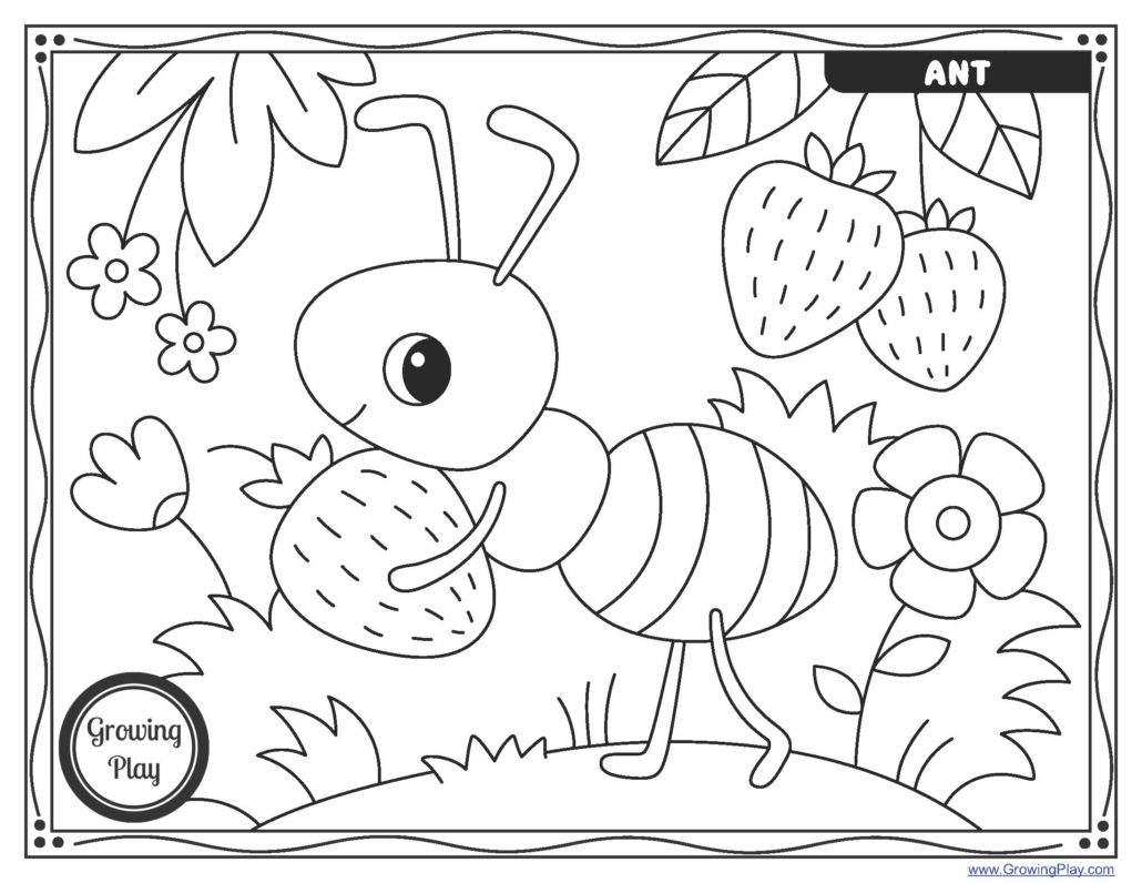 insect colouring in pages