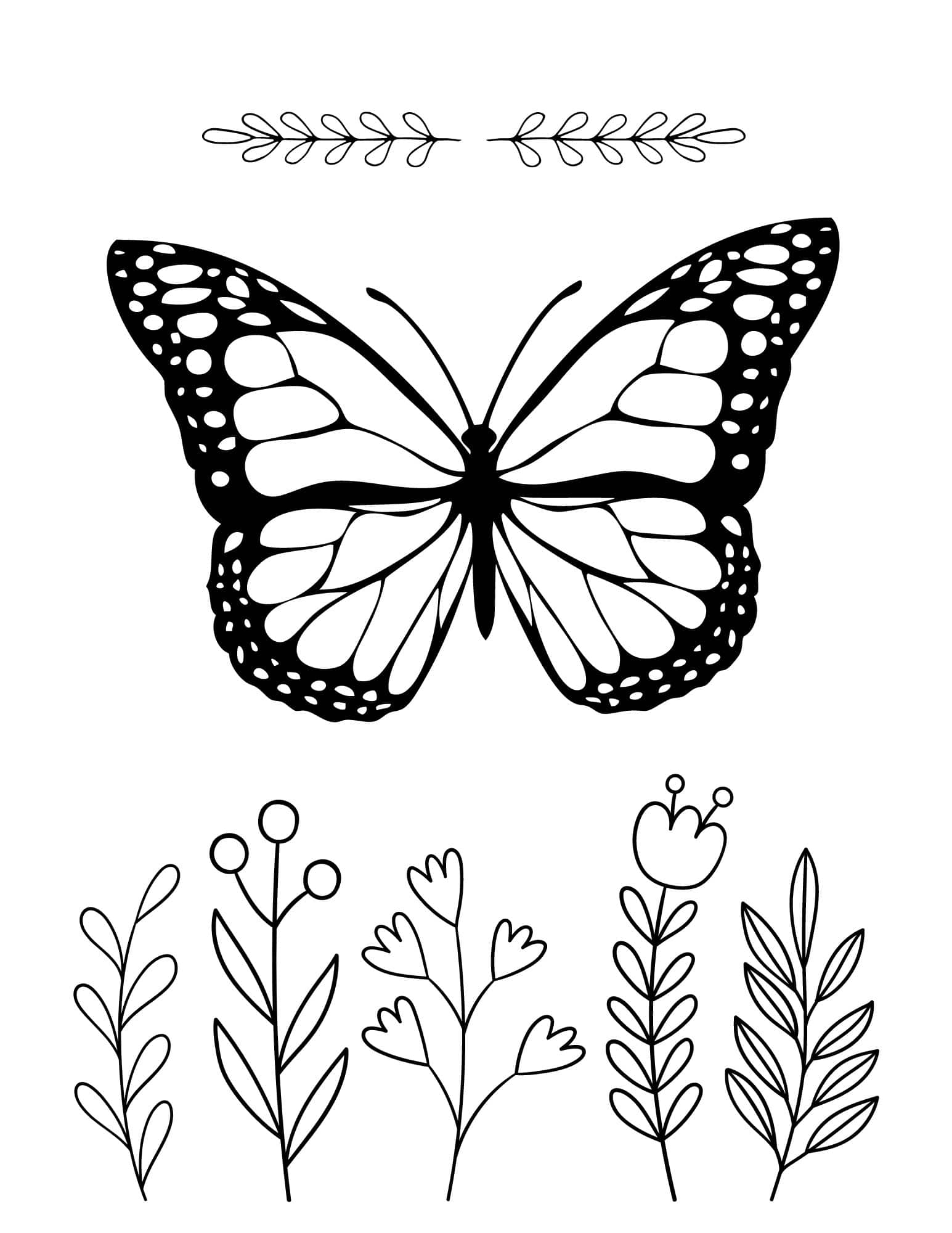 printable pictures to color of butterflies printable pictures to color of butterflies