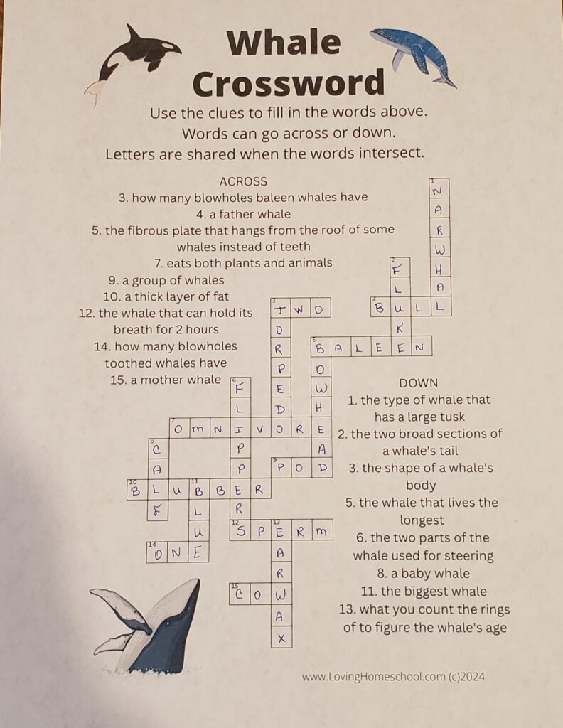Free Whale Crossword Puzzle LovingHomeschool Free Whale Crossword Puzzle LovingHomeschool