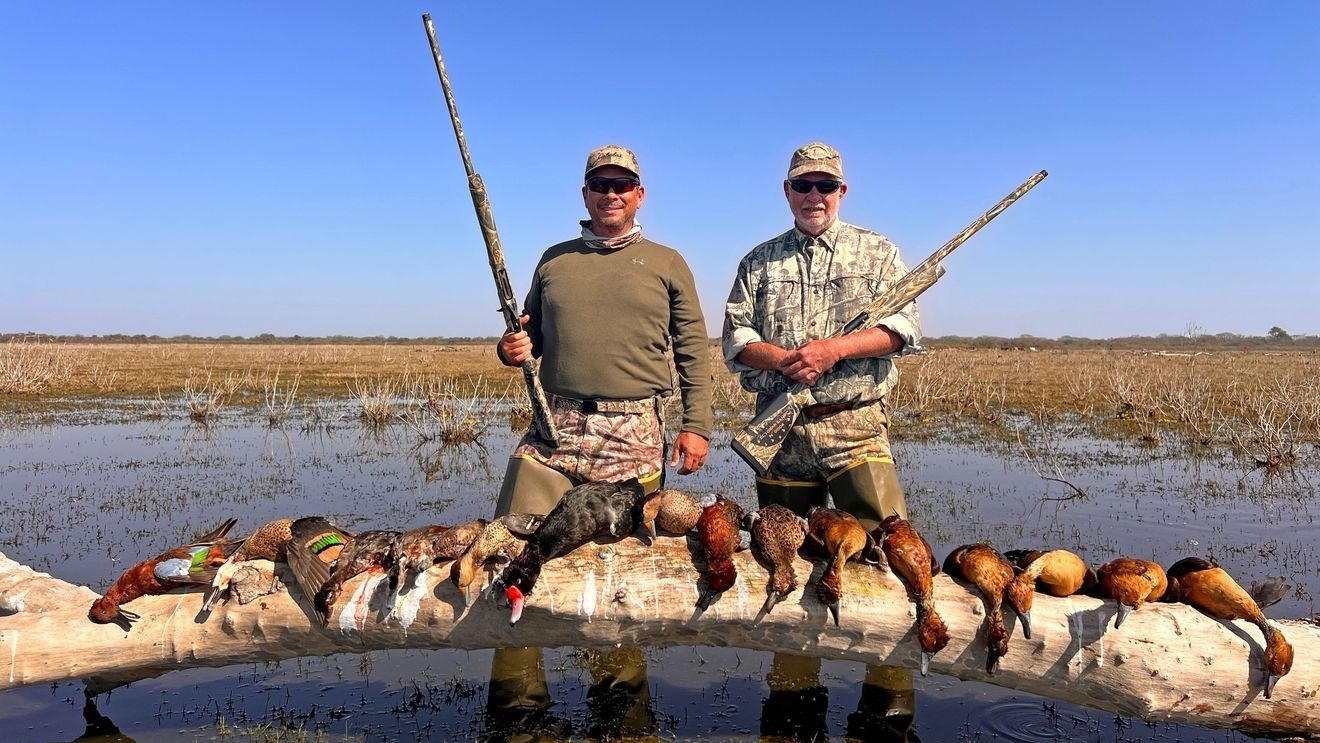 marsh bird crossword clue marsh bird crossword clue