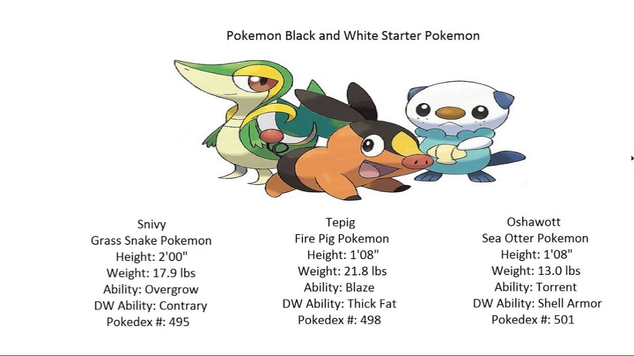 Gaming Breakdown 23 The Unova Starters YouTube Gaming Breakdown 23 The Unova Starters YouTube