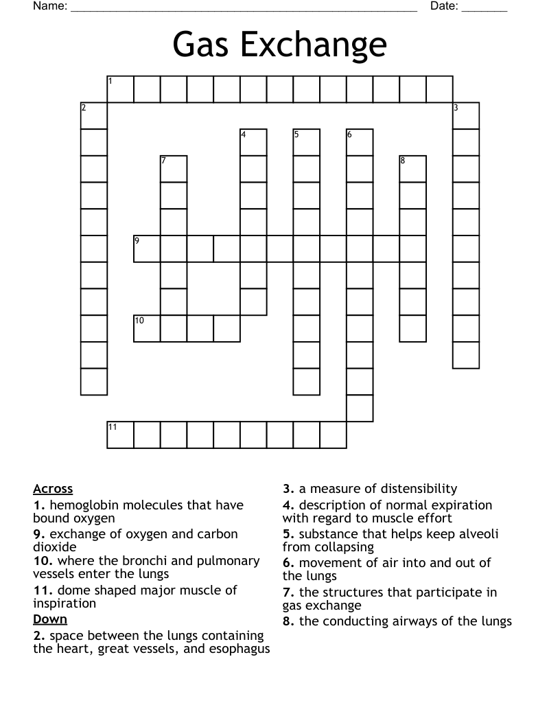Gas Exchange Crossword WordMint Gas Exchange Crossword WordMint