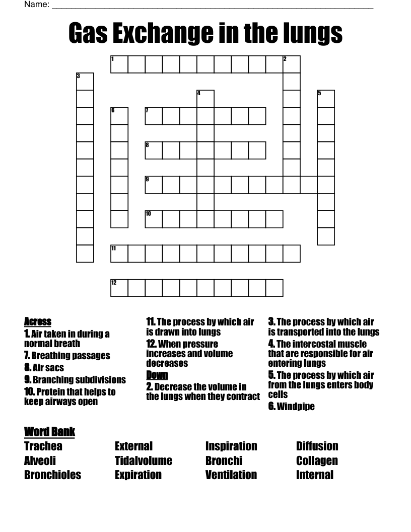 Gas Exchange In The Lungs Crossword WordMint Gas Exchange In The Lungs Crossword WordMint