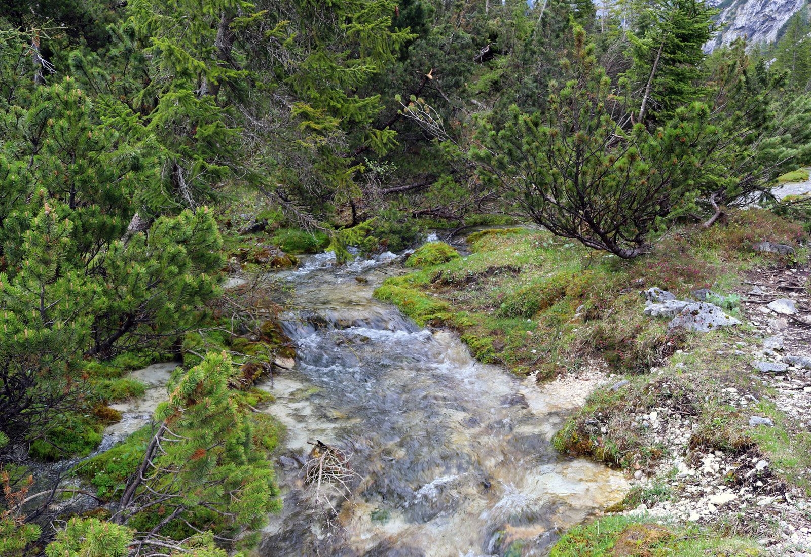 german river crossword clue german river crossword clue