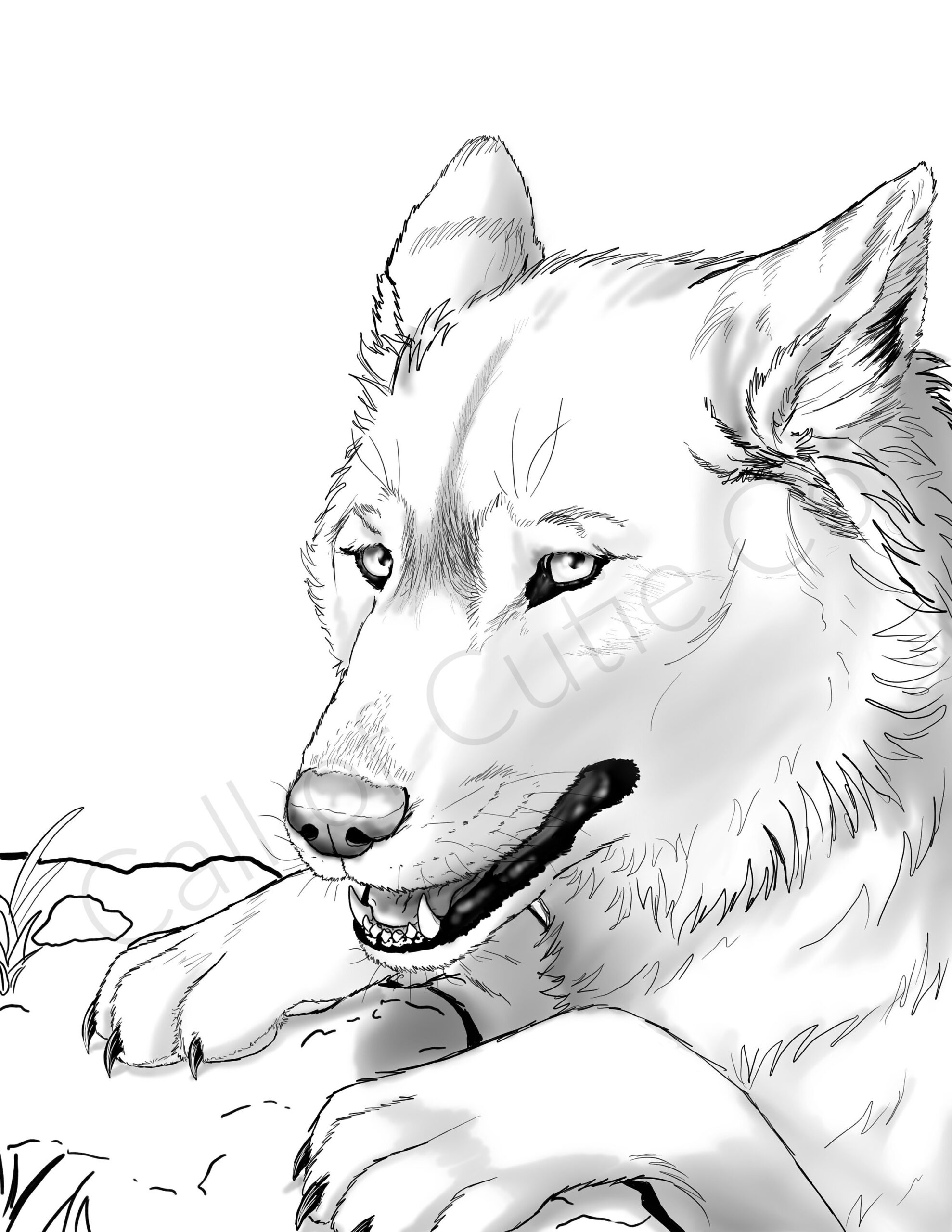 Gray Wolf Color Page digital Wolf Coloring Pages animal Coloring Pages Etsy Israel