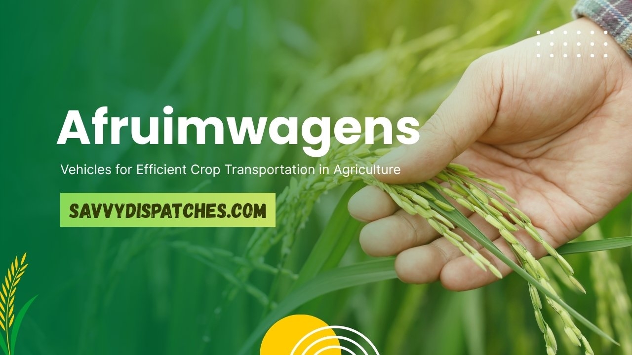 Hawaii And Tennessee NYT Crossword Clue Explained Answer Hawaii And Tennessee NYT Crossword Clue Explained Answer