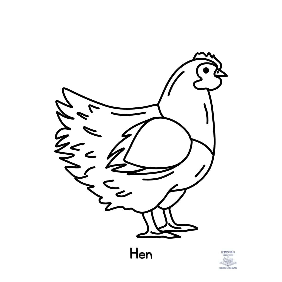 Hen Coloring Page Homeschool Freebies And Giveaways Hen Coloring Page Homeschool Freebies And Giveaways