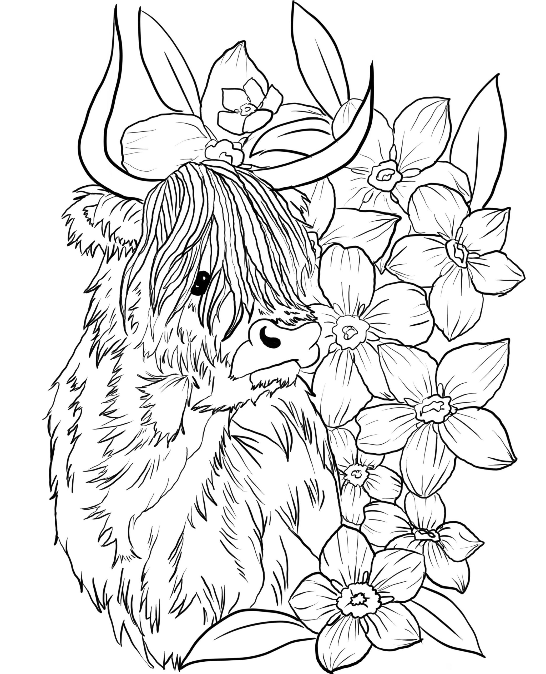 Highland Cow Downloadable Coloring Page Etsy Highland Cow Downloadable Coloring Page Etsy