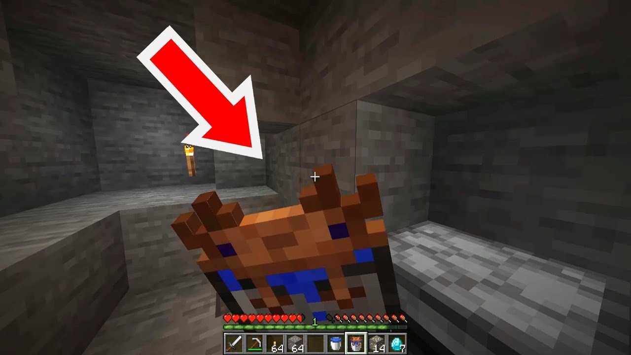 what do axolotls eat in minecraft what do axolotls eat in minecraft