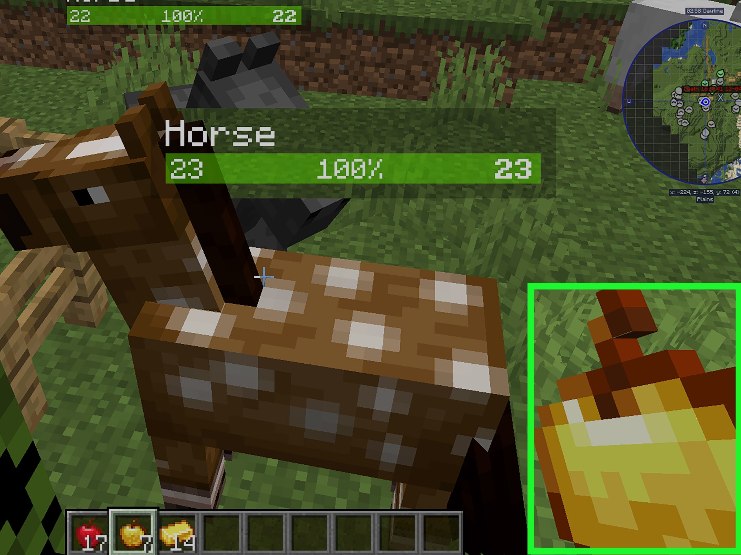 How To Feed A Horse In Minecraft Complete Tutorial How To Feed A Horse In Minecraft Complete Tutorial