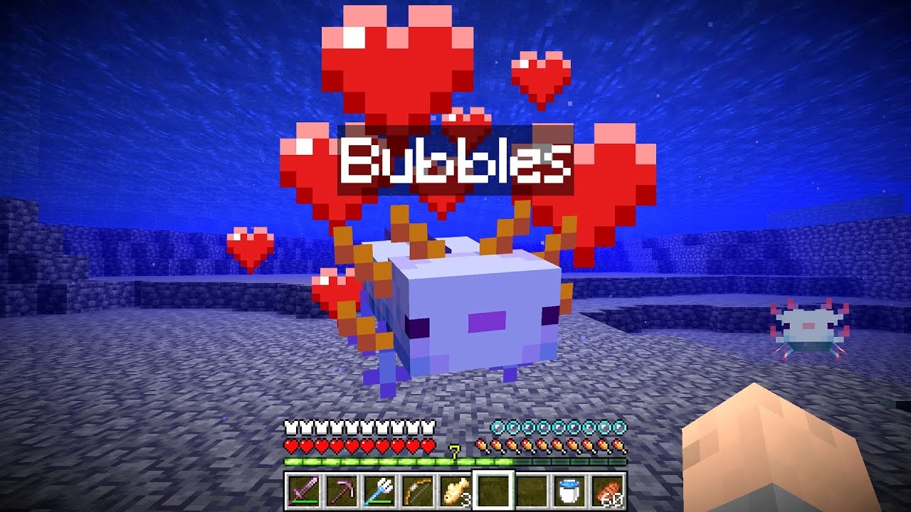 How To Get A Pet Axolotl In Minecraft YouTube How To Get A Pet Axolotl In Minecraft YouTube