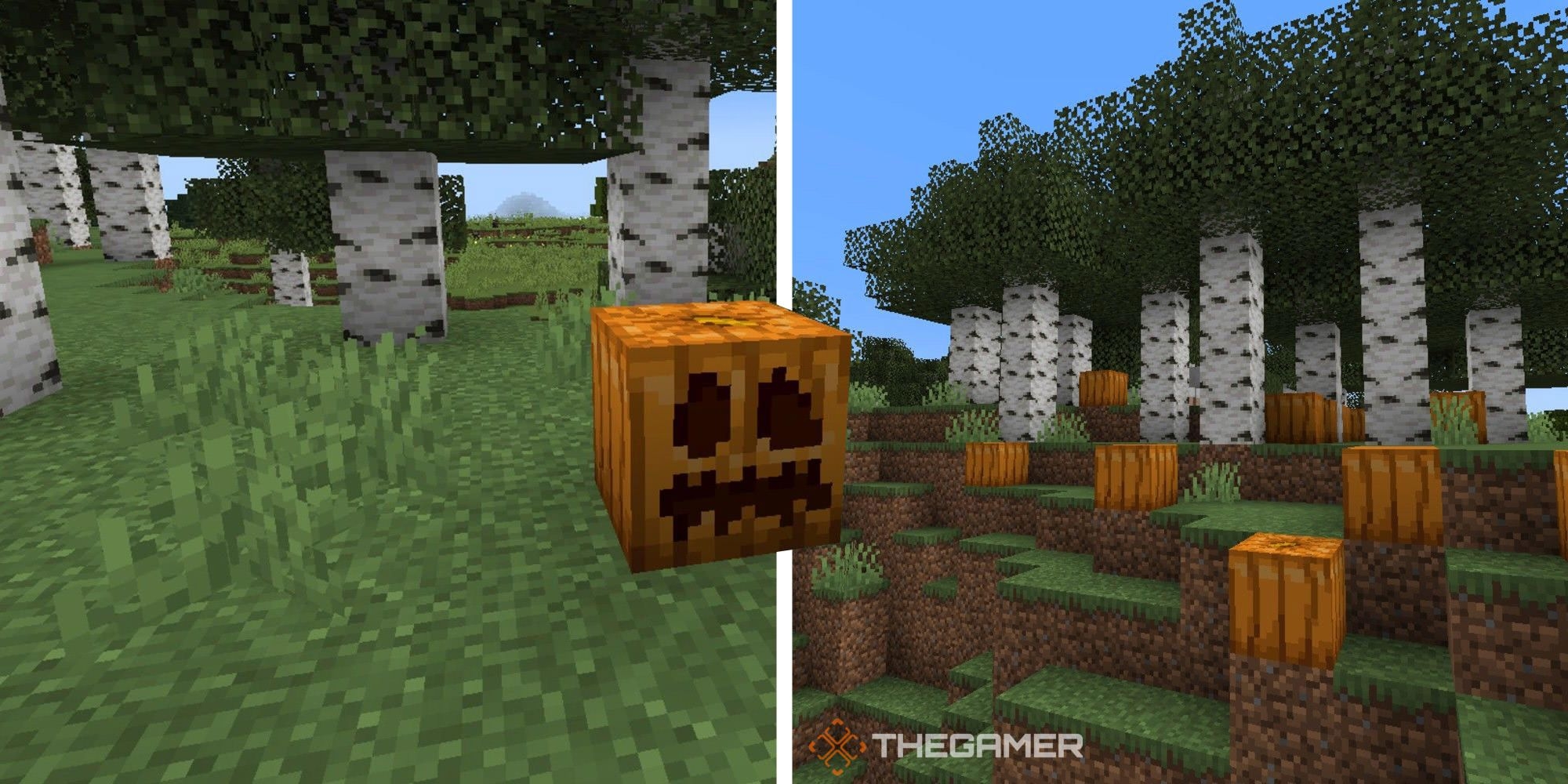 How To Make A Jack O Lantern In Minecraft How To Make A Jack O Lantern In Minecraft