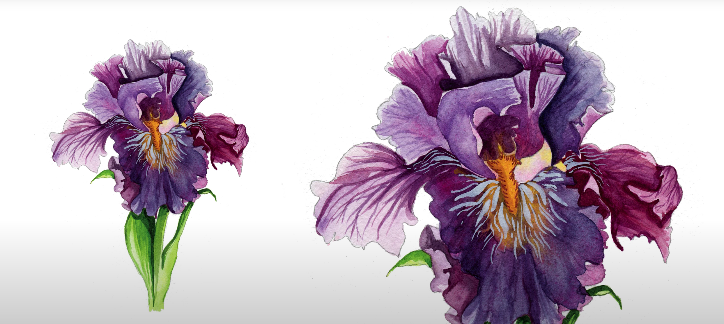 How To Paint Watercolor Details How To Paint Watercolor Details