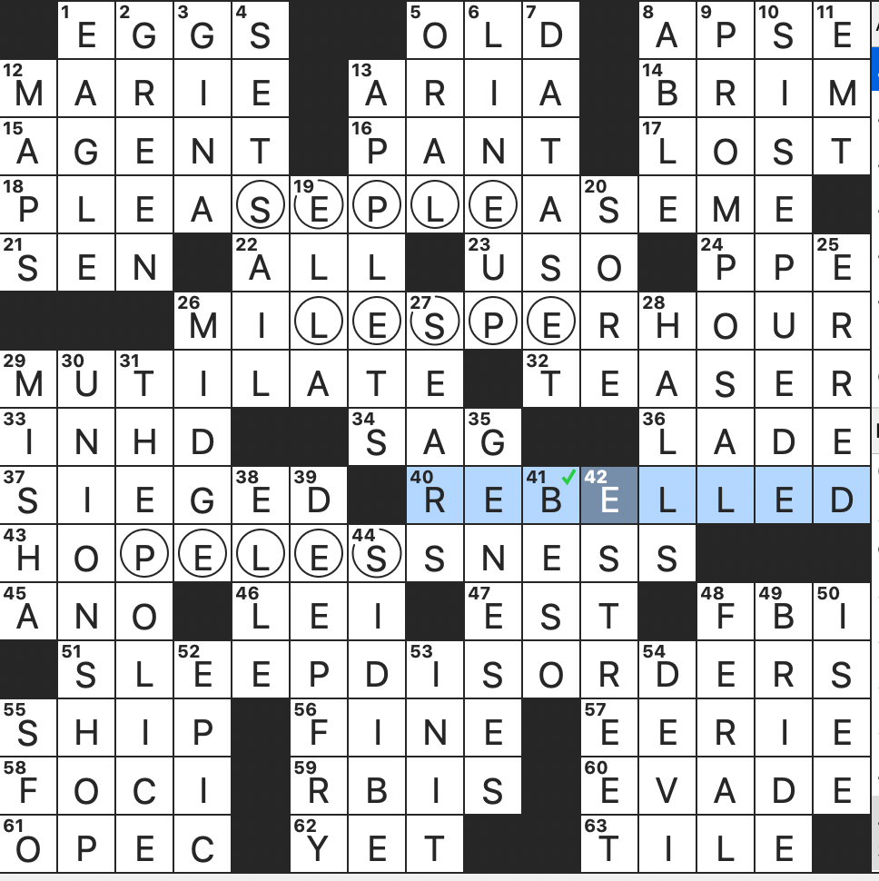 Hubbub Crossword Clue Nyt