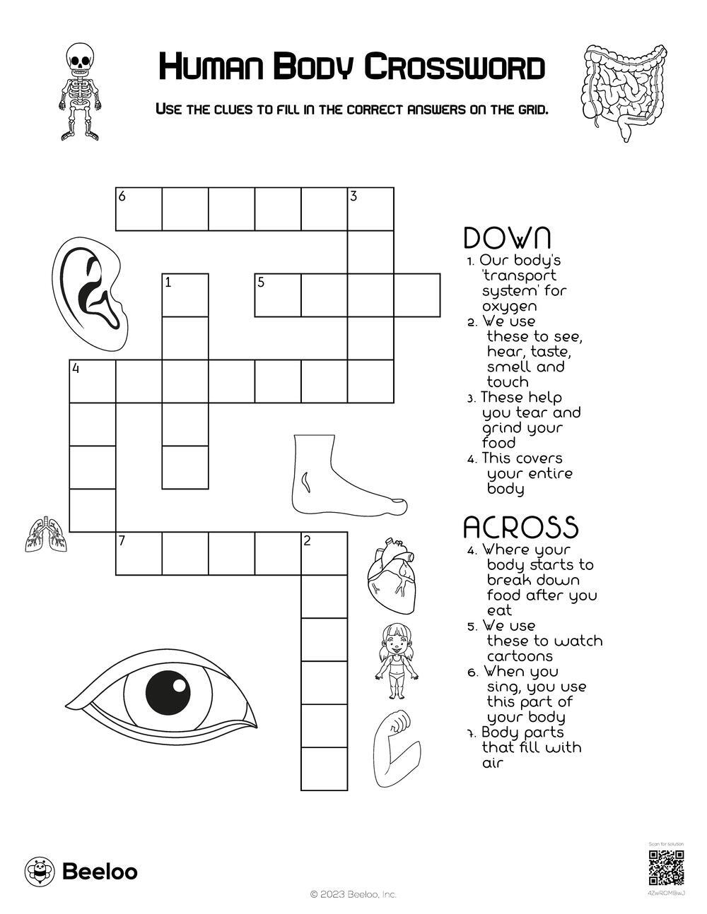 Human Body Crossword Beeloo Printable Crafts And Activities For Kids Human Body Crossword Beeloo Printable Crafts And Activities For Kids