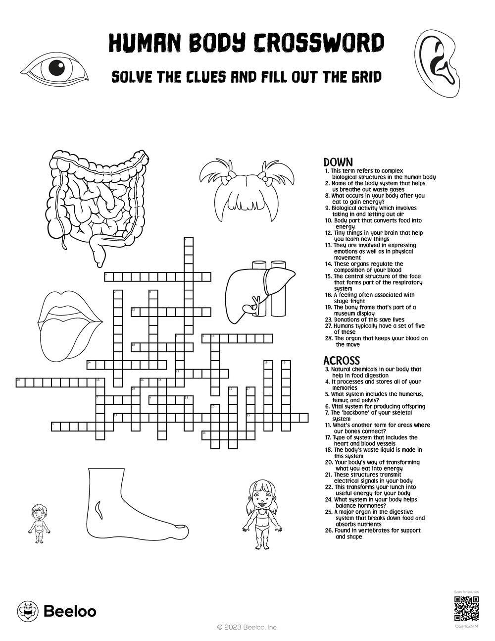 Human Body Crossword Beeloo Printable Crafts And Activities For Kids Human Body Crossword Beeloo Printable Crafts And Activities For Kids