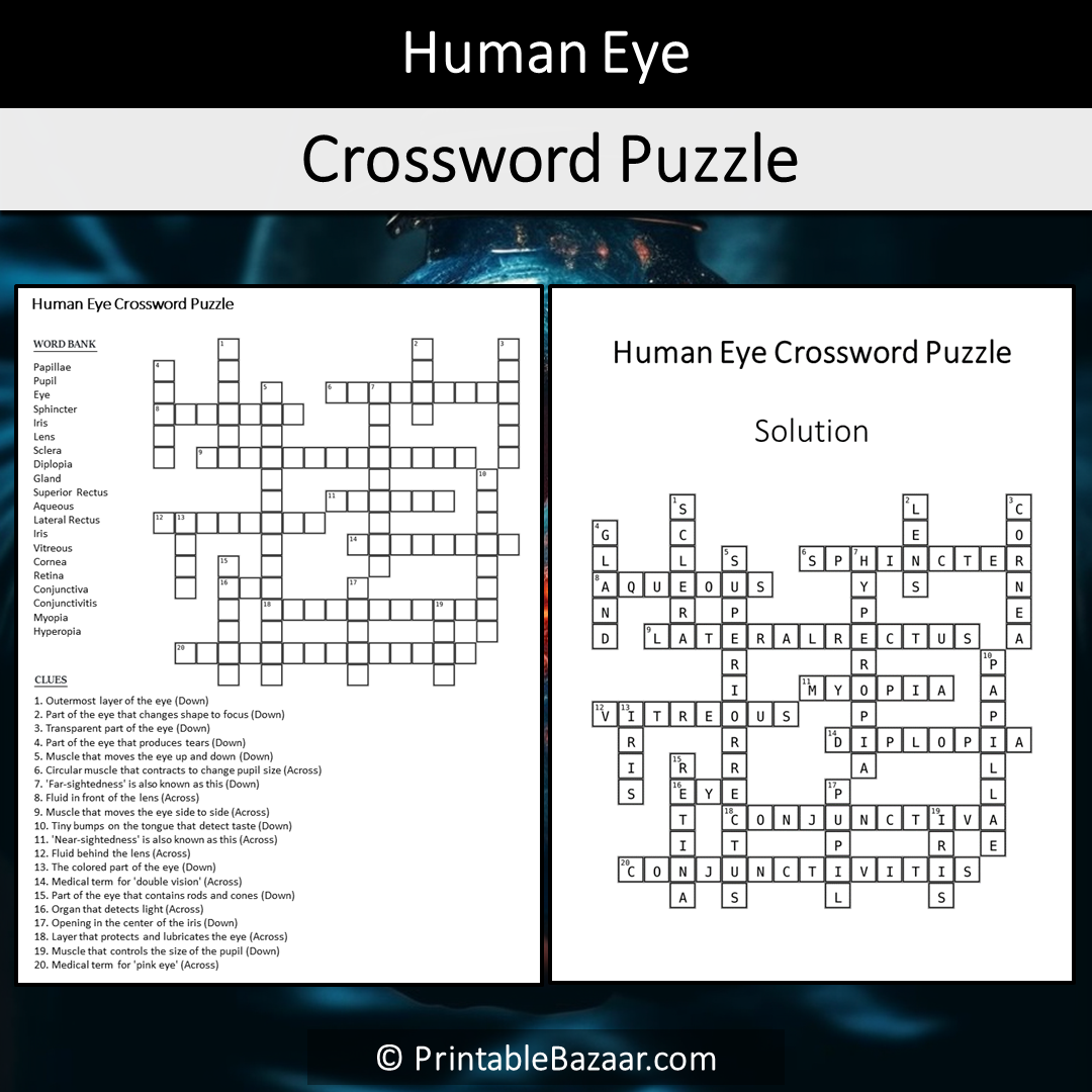 Human Eye Crossword Puzzle Worksheet Activity Printable PDF Worksheets Library Human Eye Crossword Puzzle Worksheet Activity Printable PDF Worksheets Library